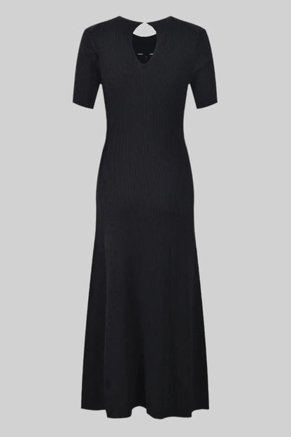 Sandro blacky dress
